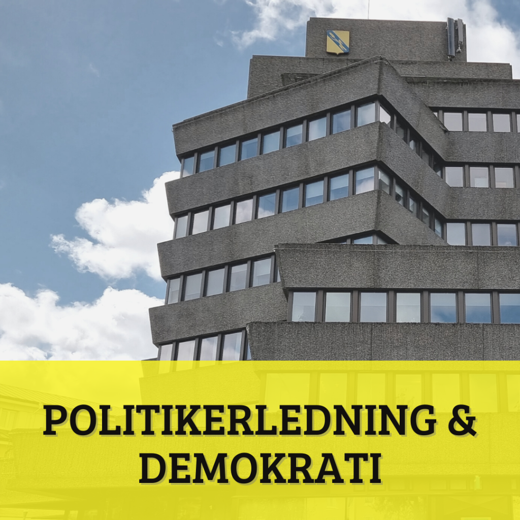 Partiprogram: Politikerledning & demokrati