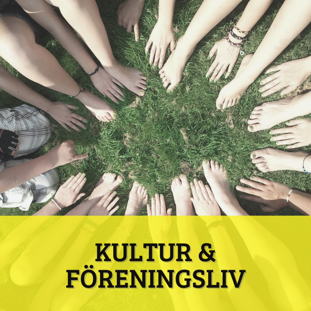 Partiprogram: Kultur & föreningsliv