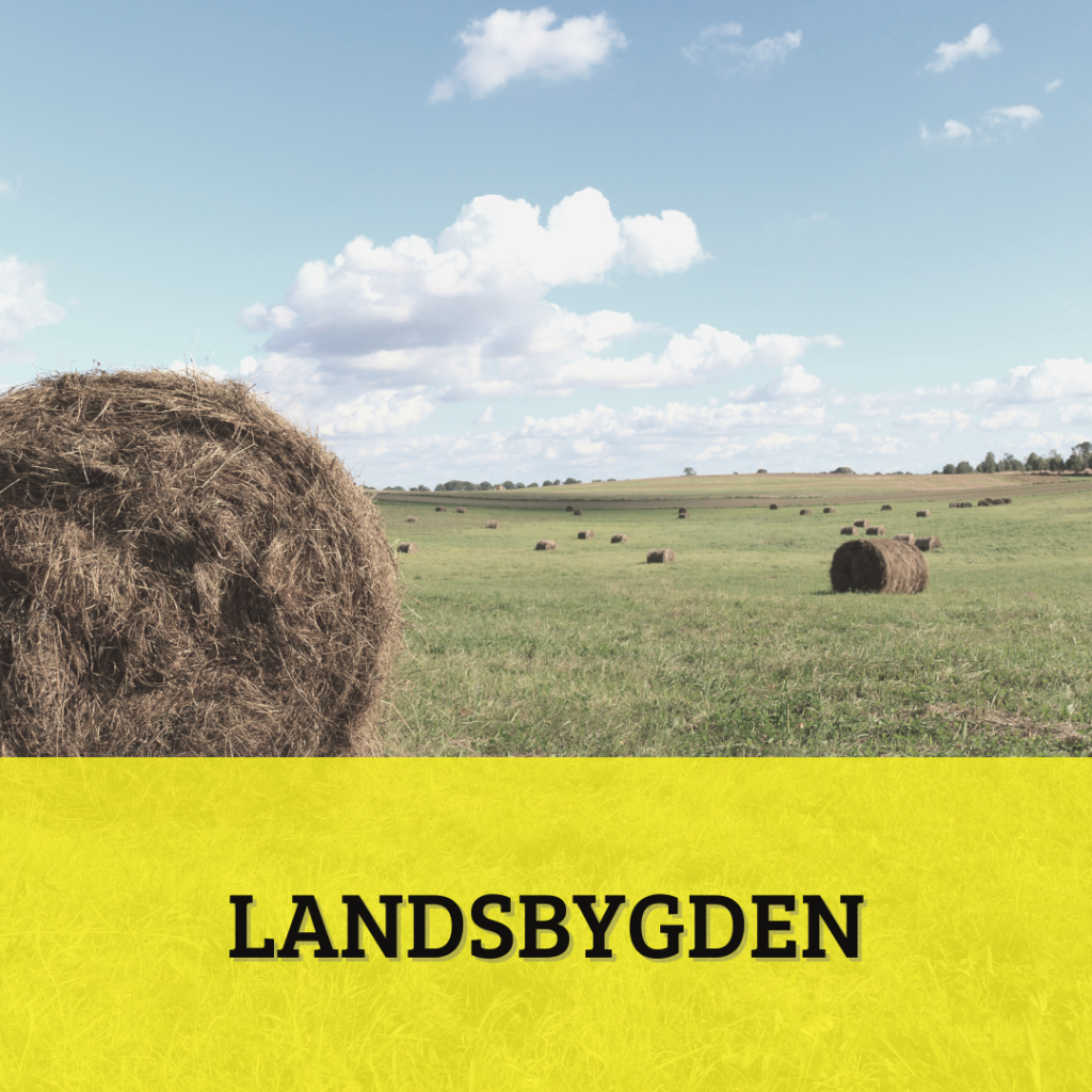 Partiprogram: Landsbygden