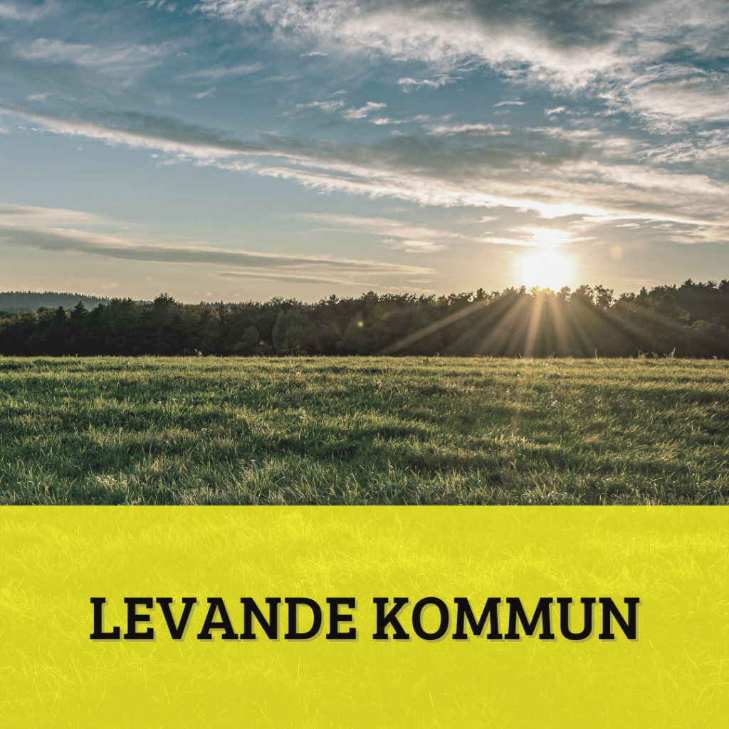 Partiprogram: En levande kommun