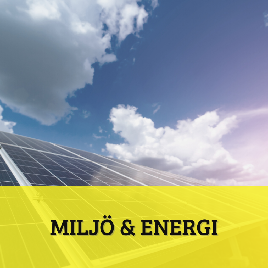 Partiprogram: Miljö & energi