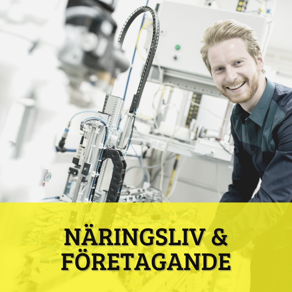 Partiprogram: Näringsliv & företagande