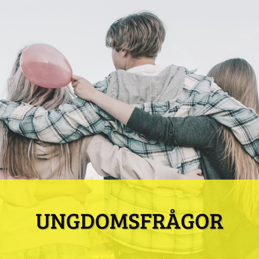 Partiprogram: Ungdomsfrågor